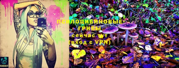 а пвп мука Абаза