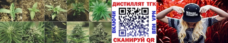 Дистиллят ТГК гашишное масло  купить  сайты  Благовещенск 