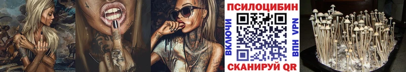 Галлюциногенные грибы мицелий  MEGA ТОР  Благовещенск 